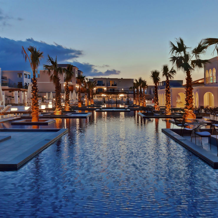 Anemoss Aestheticv (1)